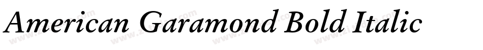 American Garamond Bold Italic BT字体转换